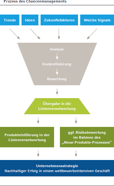 Prozess des Chancenmanagements